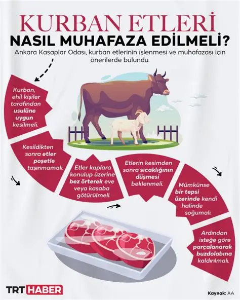 Bu Yıl 500 Aileye Kurban Eti Ulaştırdık