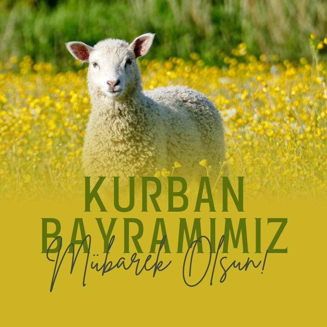 2. Eğitimle Umut – 3 Öğrenciye Burs Desteği