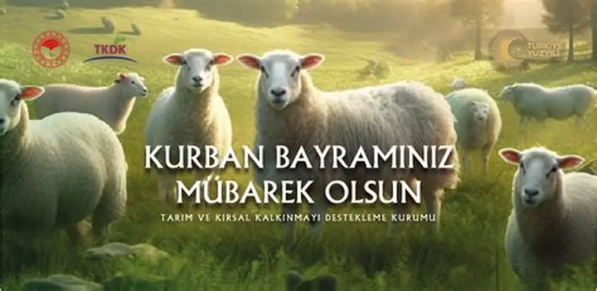 İyilik Yolu Derneği ile Kurban Bağışı media